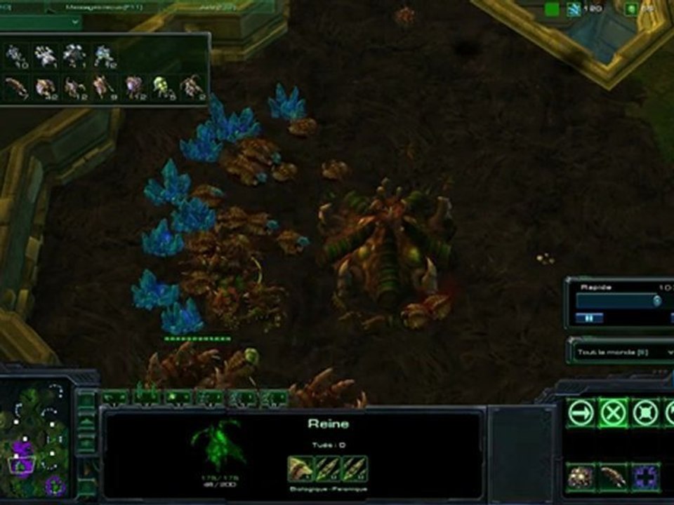 Replay19-SC2