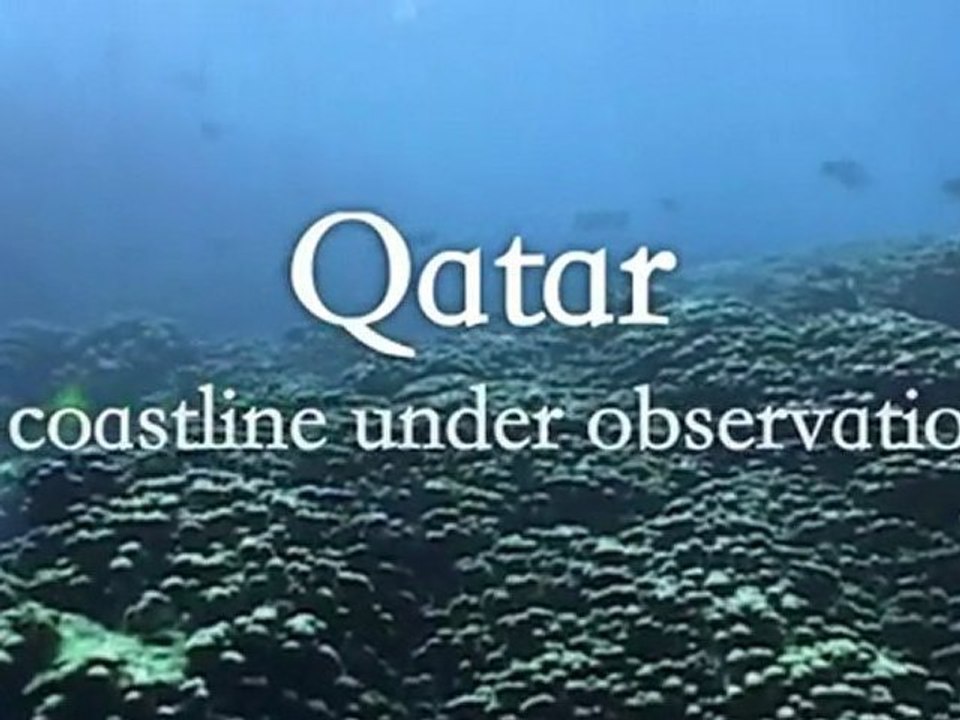 Docu l'autre Qatar- parties