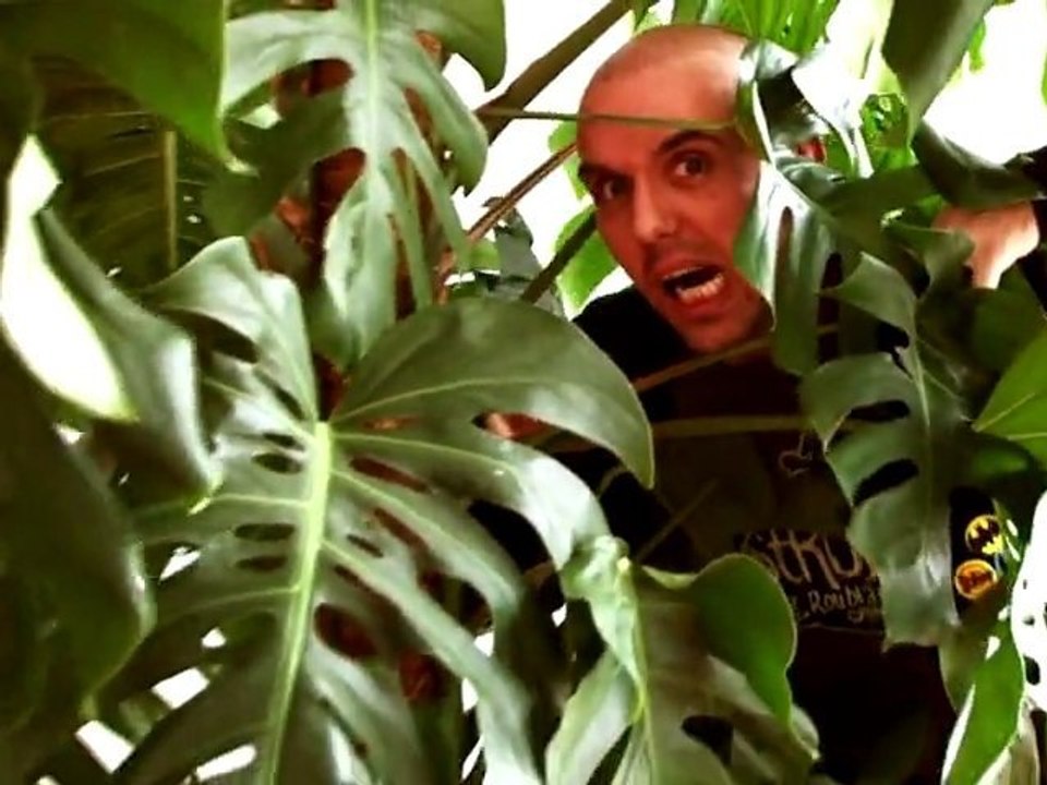 Inside ANKAMA#4 le 17 mars sur Ankama.com