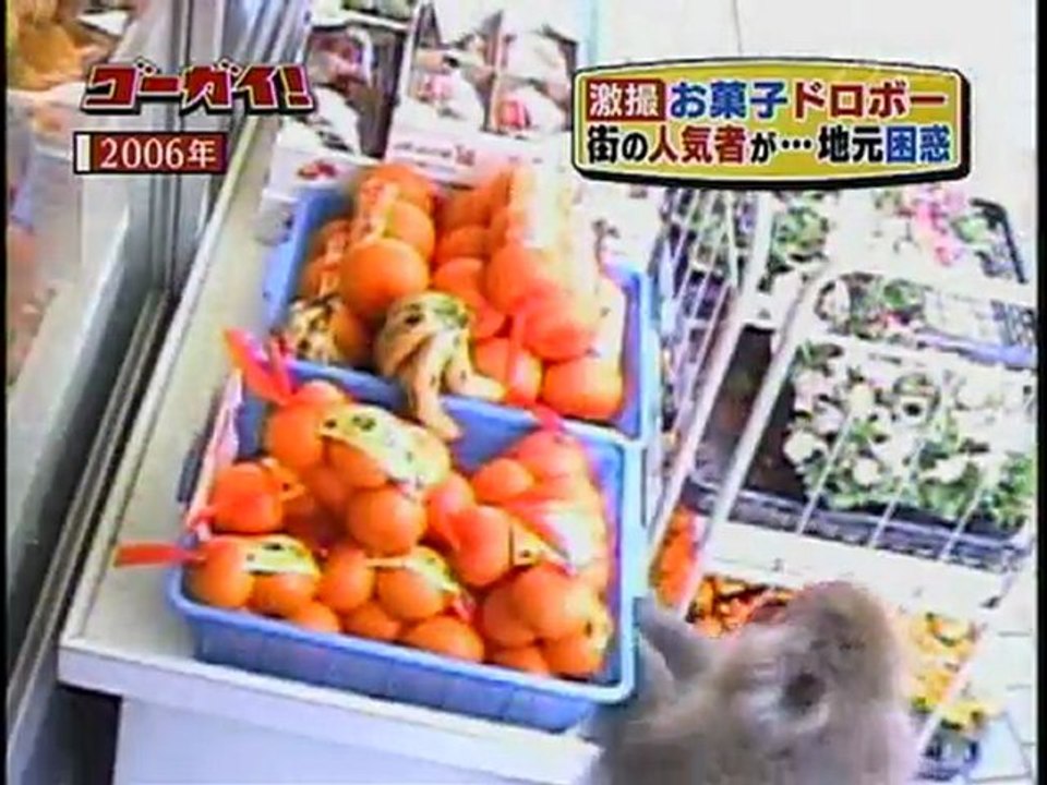 monkeys