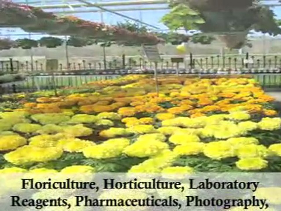 Manufacturer And Supplier Of Organic Chemicals