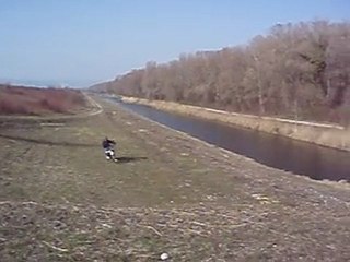 ELLIOT APPRIVOISE SA DTMX