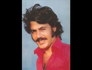 Ferdi tayfur - İlerde Bir Gün Zengin Olursam