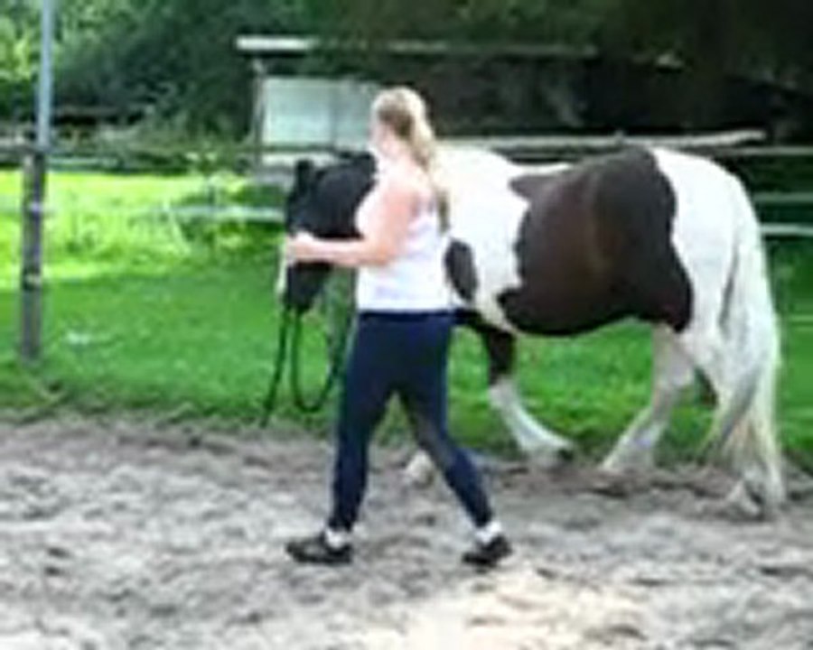 Carlos und Nadine versuchen sich in der Bodenarbeit