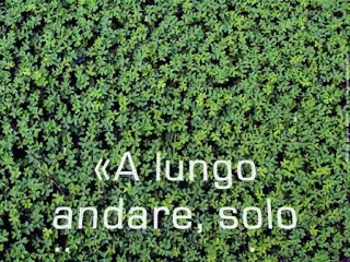 Pillole Motivazionali... - Senso di Responsabilità