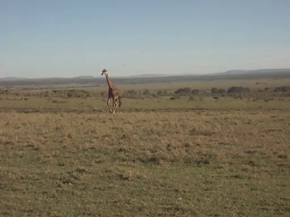 Africa Adventure Travel with Claudious Tours and Safaris