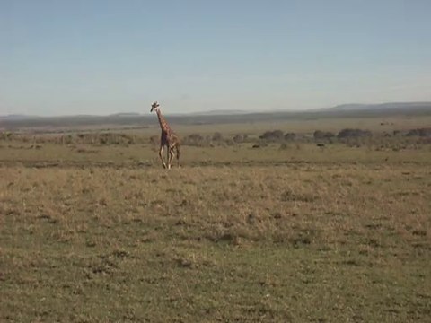 Africa Adventure Travel with Claudious Tours and Safaris