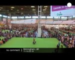 Crufts Dog Show