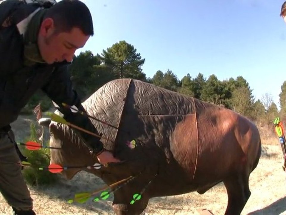 "LE BISON" 3D à QUEND