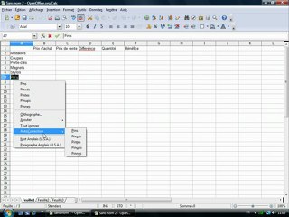 Tableur 1.4 "Saisie de texte"