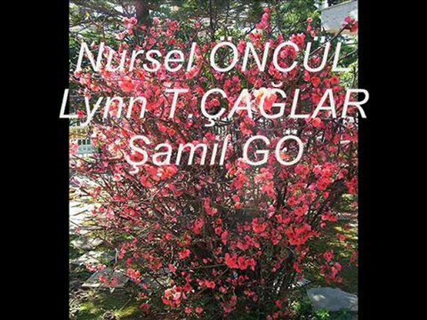 İDOB 2009-10 Bahar ve Aşk Şarkıları Konseri tanıtım videosu2