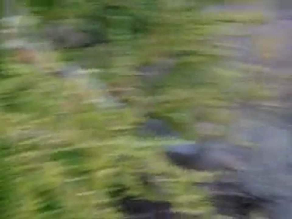 la pouliche doit disposer d'eau propre à volontée !