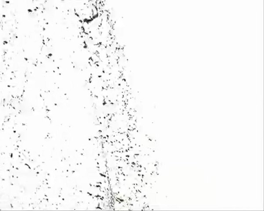 21 Avril 2009:28 Sept 2008 Imbrication