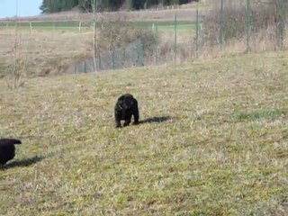 Portée de UTOPIE et BLACK BOY