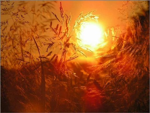 CHOPIN´S FANTAISIE IMPROMPTU in C-Sharp Minor, Op. 66