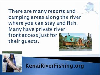 Kenai River Fishing @ KenaiRiverFishing.org