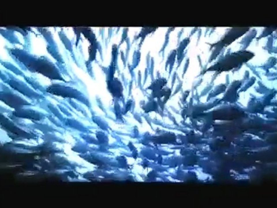 Demi Lovato e Joe Jonas - Make a Wave