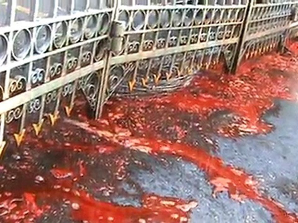 Vidéo 2 Le sang sacrificiel devant le siège du gouvernement