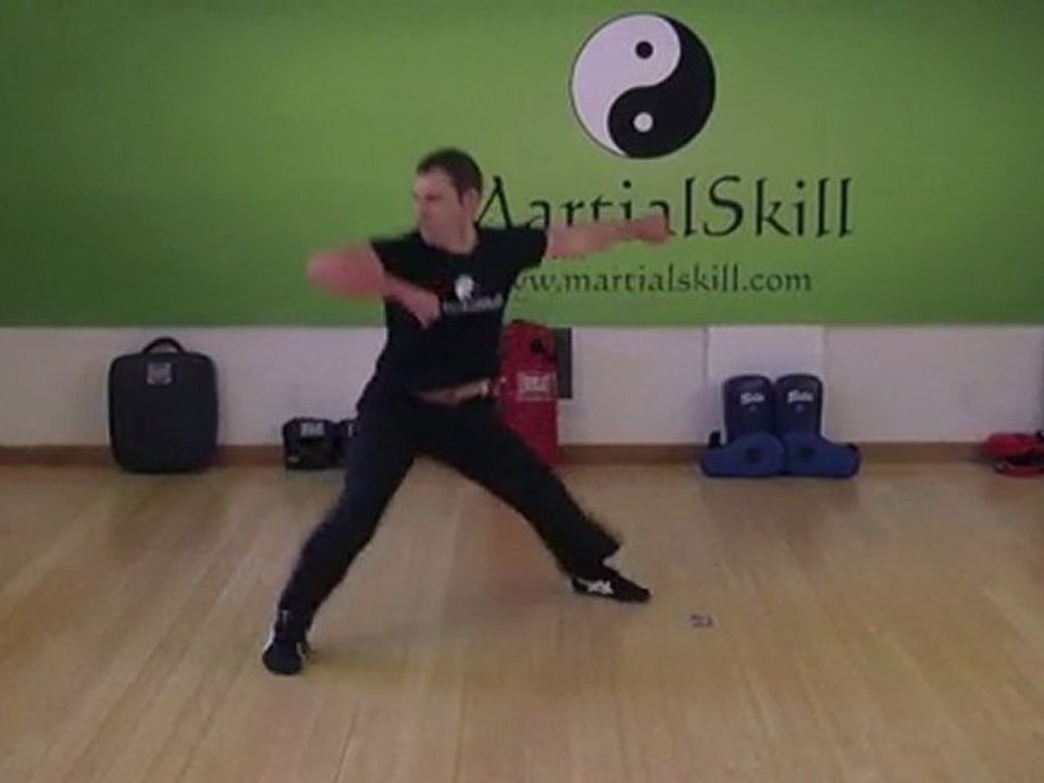 Cha Chui ("Piercing Strike") 插捶 Form 7 Star Praying Mantis