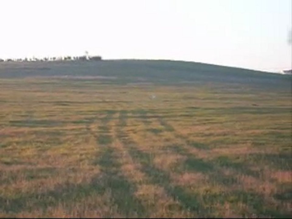 goga2