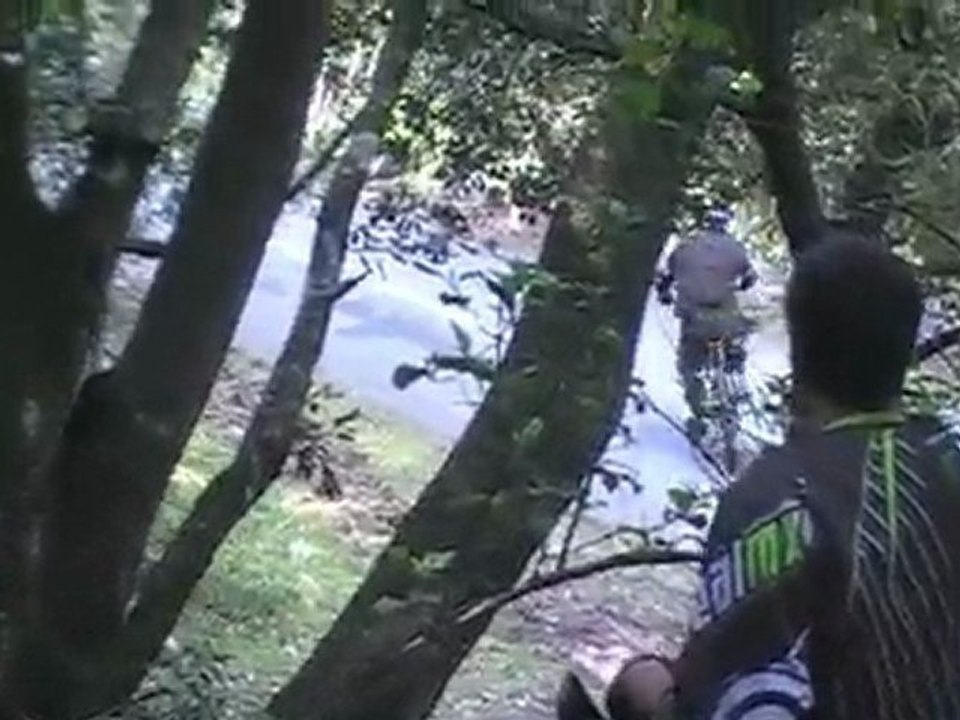 Romain_beginning