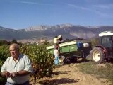 Visitas a bodega, en Logroño La Rioja (Despedidas de soltero