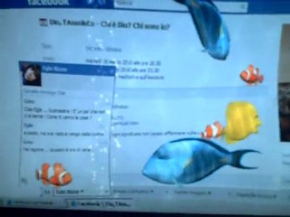 Il mio screen saver in funzione ...