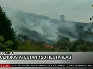 Incendio forestal en Colombia
