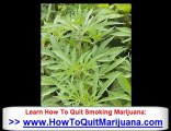 How To Quit Pot - Quitting Pot Secrets & How To Quit Smo