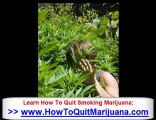 How To Stop Smoking Marijuana - Overcome Weed Addiction - Ho
