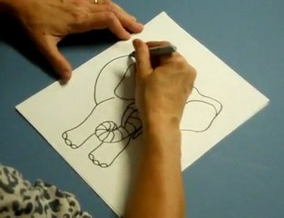 Animal coloring pages,how to draw a animal