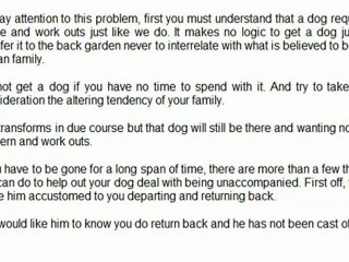 Does Your Shih Tzu Bark