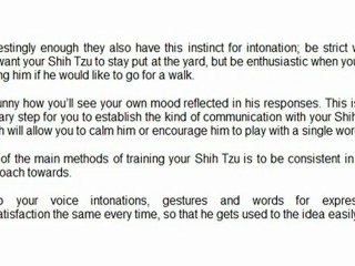 HANDY SHIH TZU TRAINING TIPS