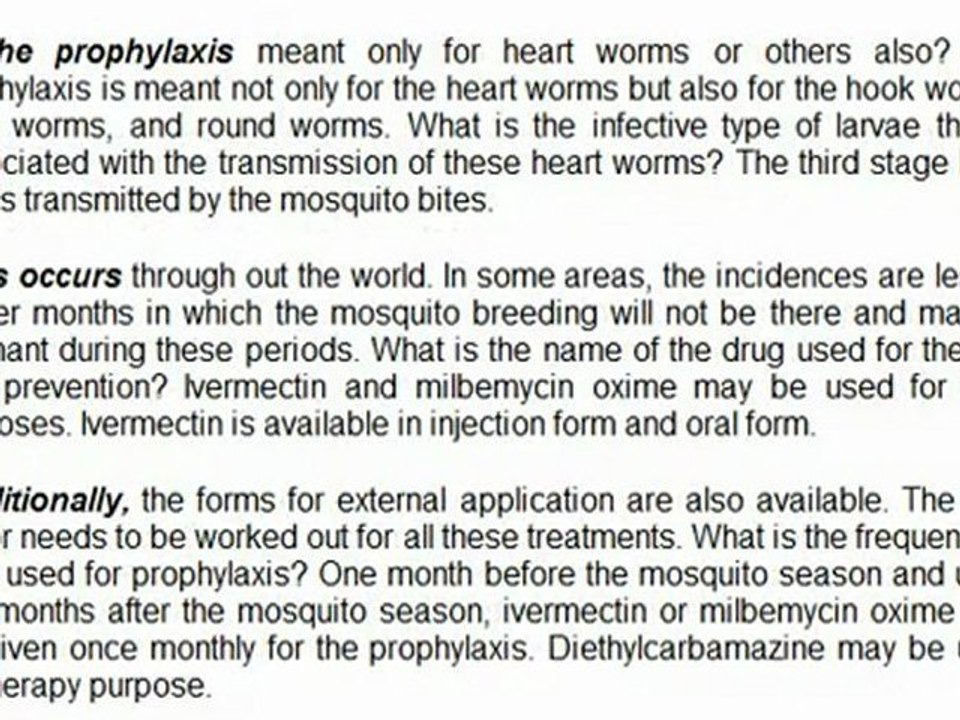 Health Care Of Your Pet Dog