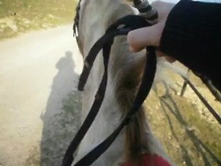 balade à cheval