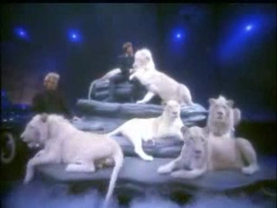 Siegfried & Roy Magic Box