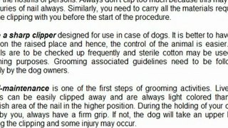 Steps In Grooming