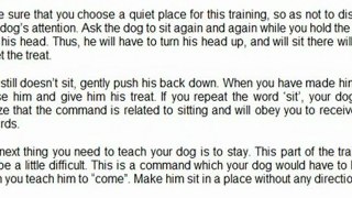 THE BASICS OF DOG TRAINING