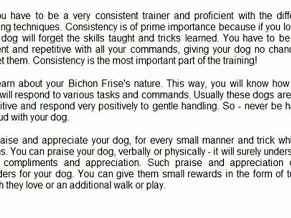 Tips For Bichon Frise Training