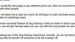 TIPS ON DOG OBEDIENCE TRAINING