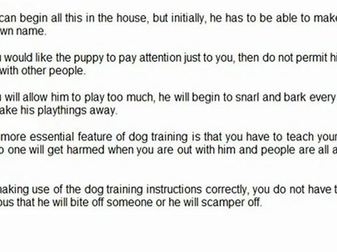 TIPS ON DOG OBEDIENCE TRAINING