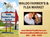 Large Flea Markets In Gainesville Florida, Jacksonville Flo