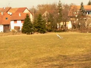 F22 à Sévenans ✈️