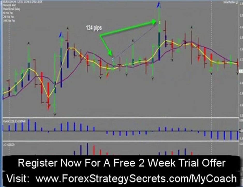 Perfect Forex Trading Guide | Gladiator Trading Room