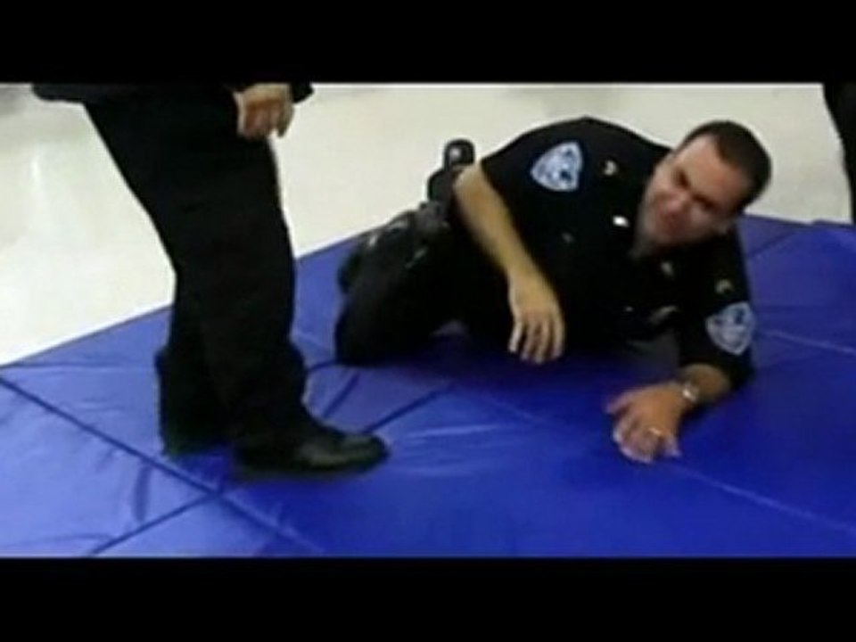 Steven Seagal : Au service de la loi (W9)