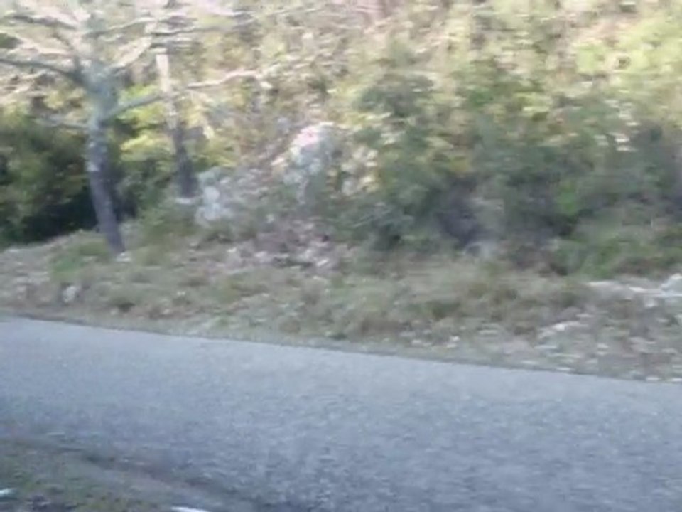 Rallye des Garrigues 2010 Sergeï