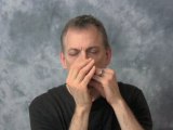 Irish Harmonica Lessons - Sheebeg and Sheemore