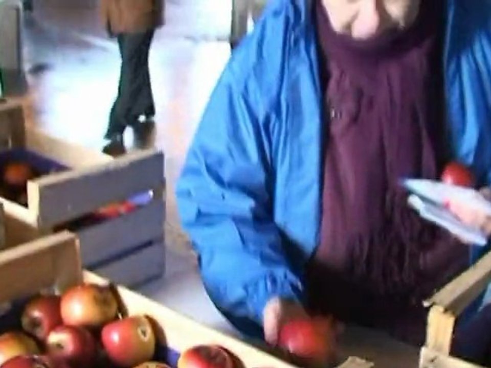 "à chacun sa pomme" dixit l'UMP?   par Jacky Moiffo