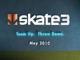 Skate3 Skate School