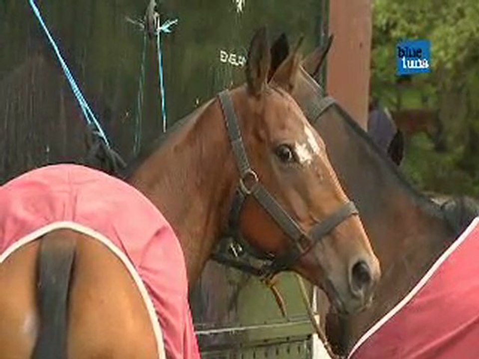 Brett Polo Lessons &  Corportate Days  Polo Finals